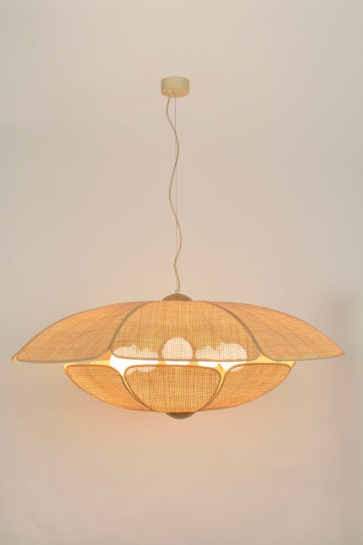 Coquillage D110